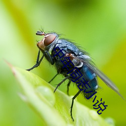 中年同志小说(shuō)