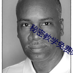 秘密教学免费阅读