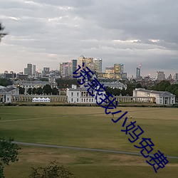 誘惑我小媽免費