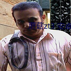 蘑菇zt3 安(ān)卓下载