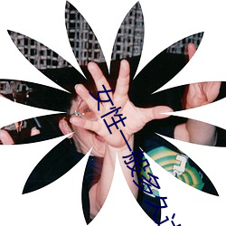 vwinӮ(й) - ٷվ