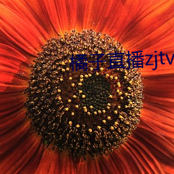 橘子直(直)播zjtv