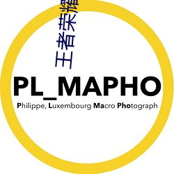 王者榮耀伽羅太華遭侵:遊戲角色伽羅太華遭到惡意攻擊的事