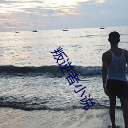 叛逆者小说
