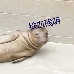 鐵血殘明