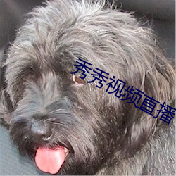 秀秀視頻直播