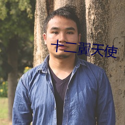 十二(二)翼天使