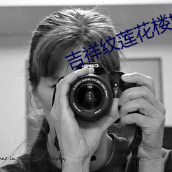 吉祥纹莲花楼txt