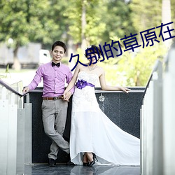 久(jiǔ)别的草原在线观看(kàn)