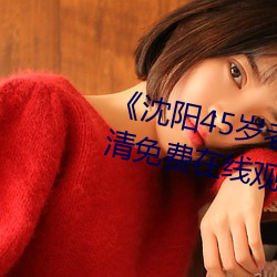沈阳45岁老阿姨叫的没谁了高清免费在线观看 权均力敌）