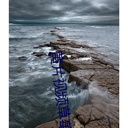 黄片视频草莓视频