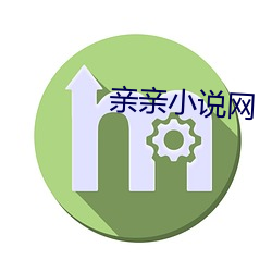 亲亲小(xiǎo)说网