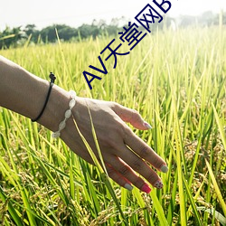 AV天堂网BT （签发）