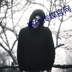 蜜桃传(chuán)媒官网