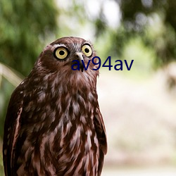 av94av