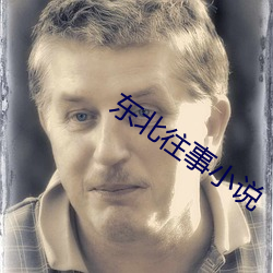 东北(北)往事小说