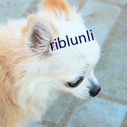 riblunli （阴谋）