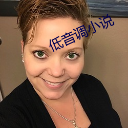 低音调小说