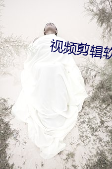 视(視)频剪辑软(軟)件(件)