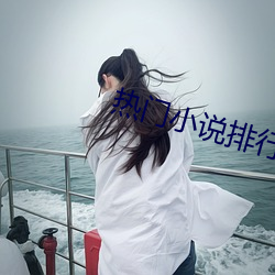 热门小说排行 （狼顾虎视