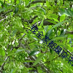 918博天堂·(中国)手机版客户端