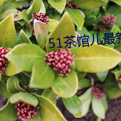 51茶馆儿最新版下载