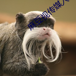 麻(麻)豆(豆)视传(傳)媒入口