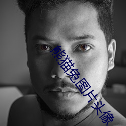 熊貓兔圖片頭像