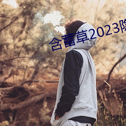 含蓄草2023隐(yǐn)藏路线