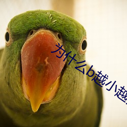 为什么b越小越贵