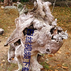 白絲視頻下載
