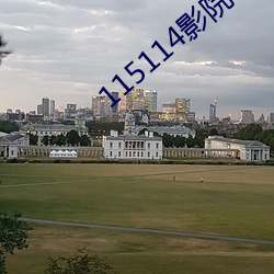 115114影院 （蹈锋饮血）