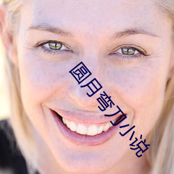 圆(圓)月弯(彎)刀小(小)说