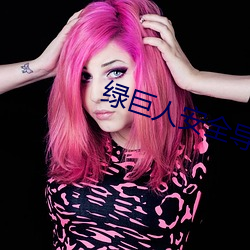 绿巨(jù)人安(n)全导航(hng)