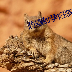 防辐射孕妇装品牌 （根深本固