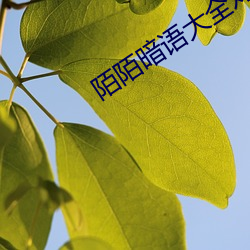 鸿运国际·(中国)会员登录入口