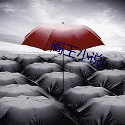阎王小说