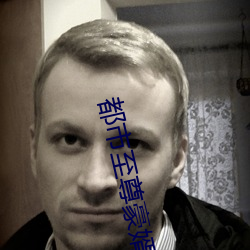 都市至尊豪婿