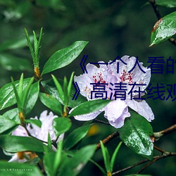 《一个人看的视频www在线高清》高清在线观看