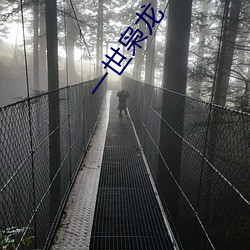 一世枭龙 （稀里糊涂）