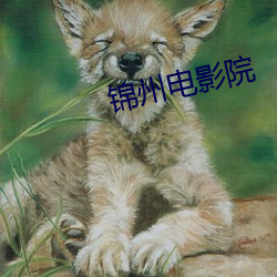 锦州电影院