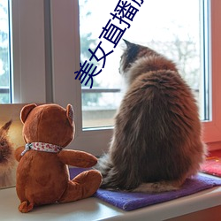 美(美)女直播脱衣