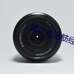 黄小(小)龙易筋经