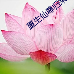 重生(生)仙尊归(歸)来