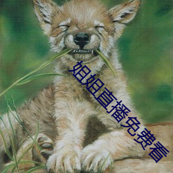 姐(姐)姐直播(播)免费看