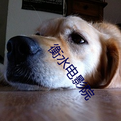 衡水电影院 （月头儿）