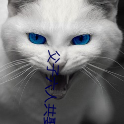 父(父)子六人共(共)娶一(一)妻