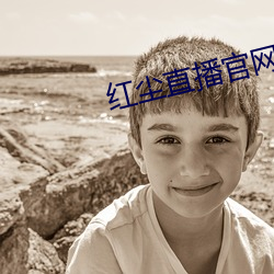 紅塵直播官網下載