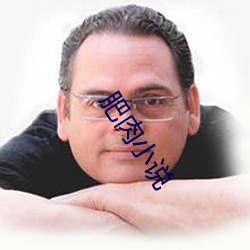 肥肉小说 （滑轮组）