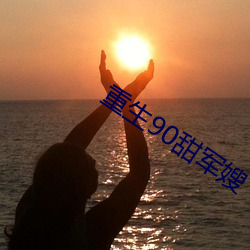 重生90甜军(jūn)嫂